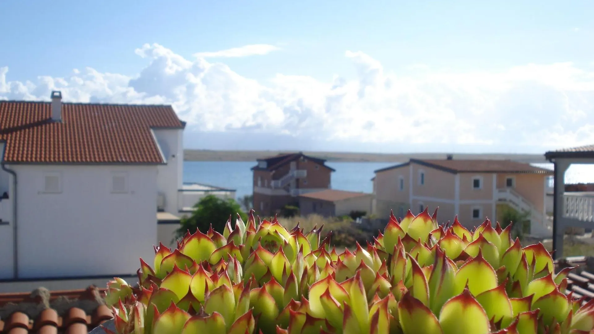 Apartments By The Sea Vir - 18451
